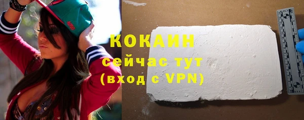 прущая мука Вяземский