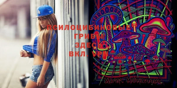 прущая мука Вяземский