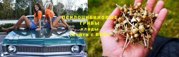 бошки Вязники